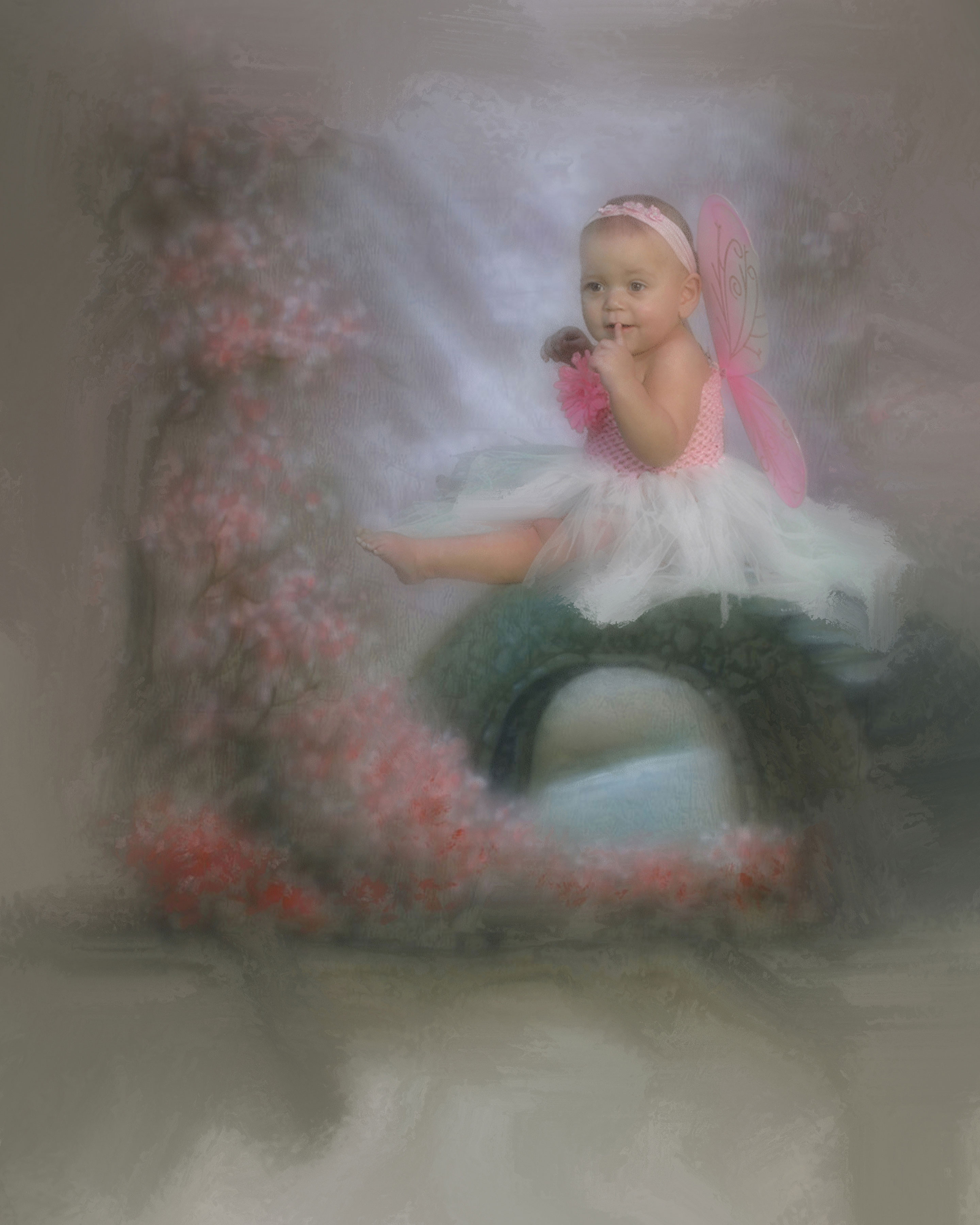 photographer that does fairy baby pictures
