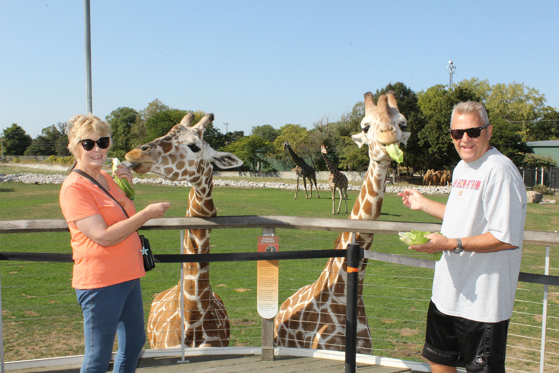 Senior Events at the Toledo Zoo Photographer