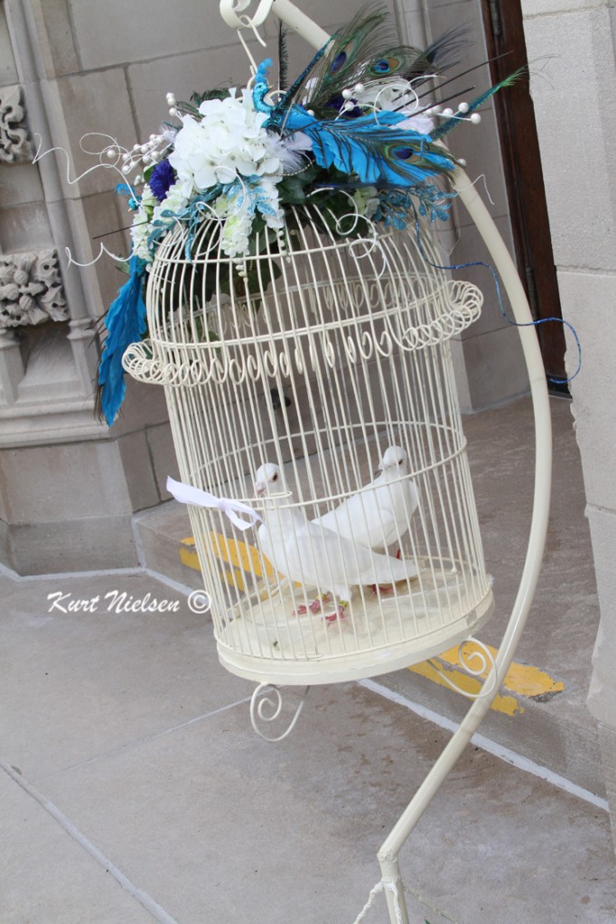 Doves at Weddings