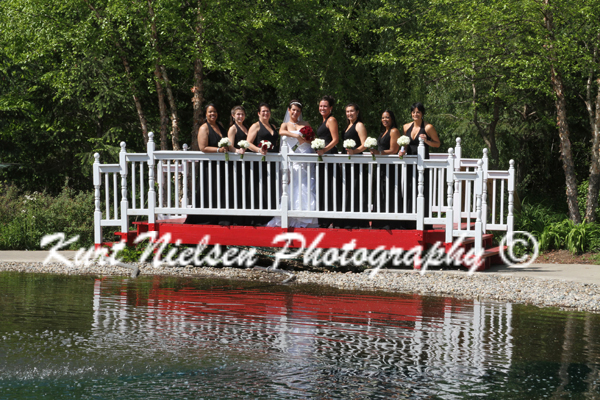 Bridge used in wedding photos