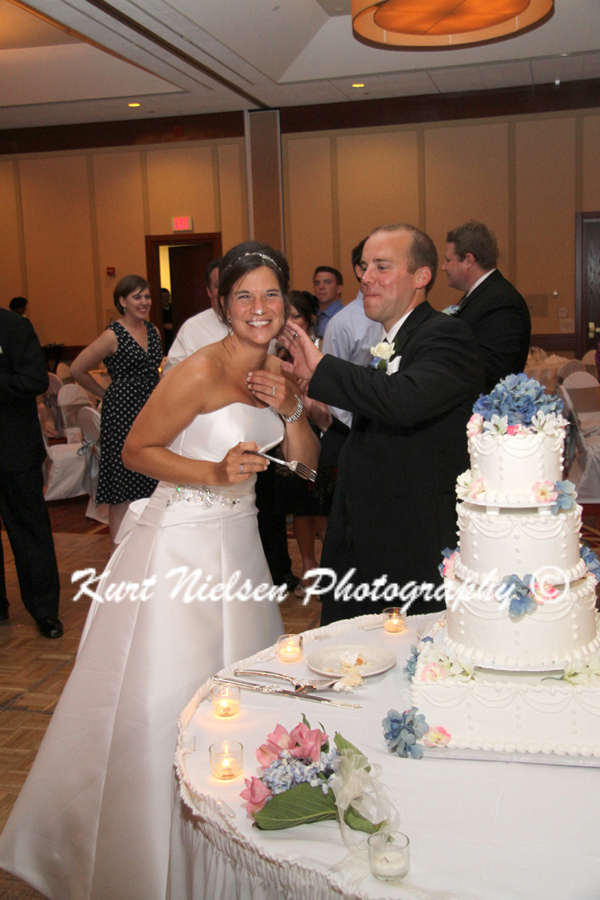 wedding cake cutting picture