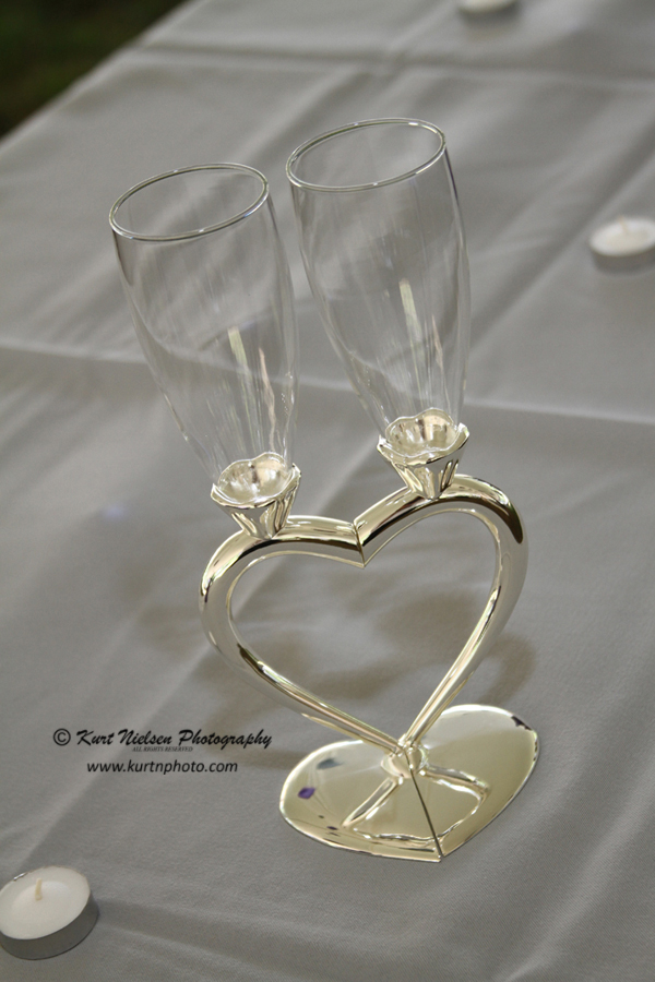 wedding toast glasses