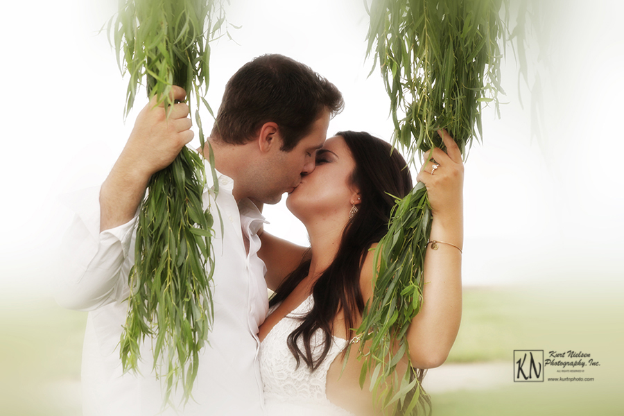 weeping willow engagement photos