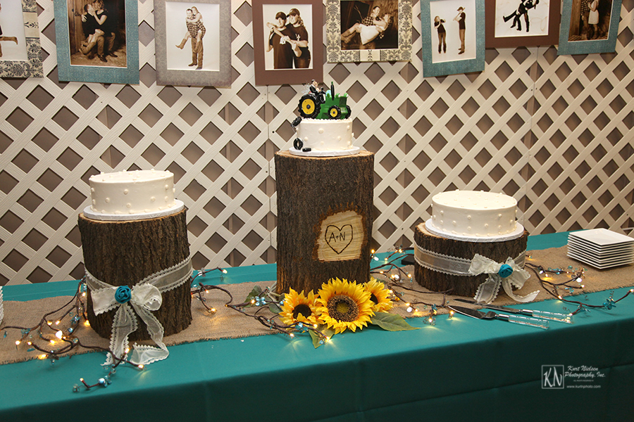 farm themed cakes on a log